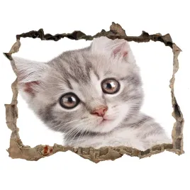 dziura-3d-fototapeta-na-sciane-szary-kot-168x113