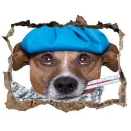dziura-3d-fototapeta-na-sciane-chory-pies-168x113