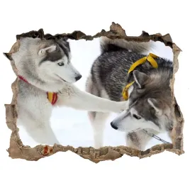 dziura-3d-fototapeta-na-sciane-husky-zima-168x113
