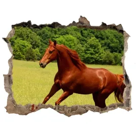 dziura-3d-fototapeta-na-sciane-kon-na-lace-168x113