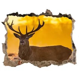 dziura-3d-fototapeta-na-sciane-jelen-wschod-slonca