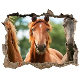 dziura-3d-fototapeta-na-sciane-konie-168x113