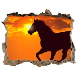 dziura-3d-fototapeta-na-sciane-kon-zachod-slonca