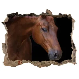 dziura-3d-fototapeta-na-sciane-brazowy-kon-168x113