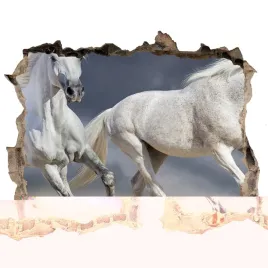 dziura-3d-fototapeta-na-sciane-biale-konie-plaza
