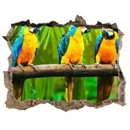 dziura-3d-fototapeta-na-sciane-papugi-na-galezi