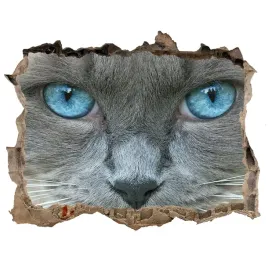 dziura-3d-fototapeta-na-sciane-kot-niebieskie-oczy