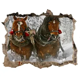 dziura-3d-fototapeta-na-sciane-naklejka-kulig