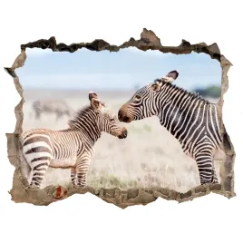 dziura-3d-fototapeta-na-sciane-zebry-w-gorach