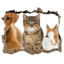 dziura-3d-fototapeta-na-sciane-pies-i-kot-168x113