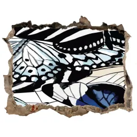 dziura-3d-foto-tapeta-naklejka-motyle-i-kwiaty