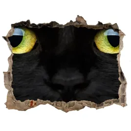 dziura-3d-foto-tapeta-naklejka-kocie-oczy-168x113