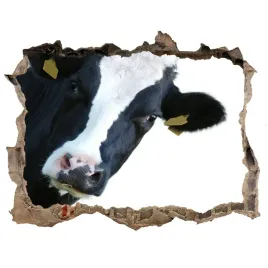 dziura-3d-foto-tapeta-naklejka-krowa-168x113