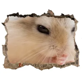 dziura-3d-foto-tapeta-naklejka-chomik-168x113