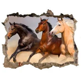 dziura-3d-foto-tapeta-naklejka-konie-w-galopie