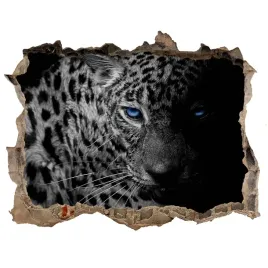 dziura-3d-foto-tapeta-naklejka-lampart-168x113
