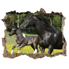 dziura-3d-fototapeta-klacz-ze-zrebieciem-168x113