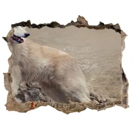dziura-3d-fototapeta-na-sciane-bialy-wilk-na-skale