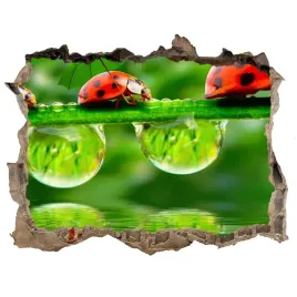 dziura-3d-fototapeta-na-sciane-biedronki-parasole