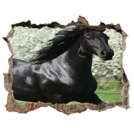 dziura-3d-fototapeta-na-sciane-czarny-kon-kwiaty