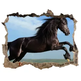 dziura-3d-fototapeta-na-sciane-czarny-kon-na-lace