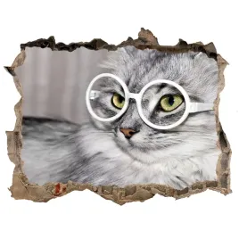 dziura-3d-fototapeta-naklejka-kot-w-okularach