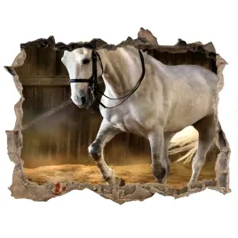 dziura-3d-fototapeta-na-sciane-bialy-kon-w-stajni
