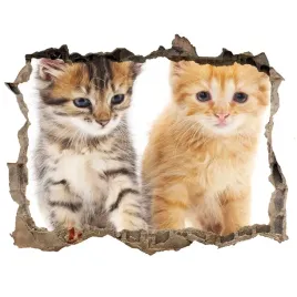 dziura-3d-fototapeta-na-sciane-brazowy-i-rudy-kot