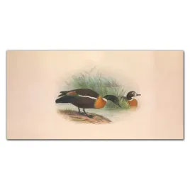 foto-obraz-szklany-ptaki-zwierzeta-bezowy-120x60