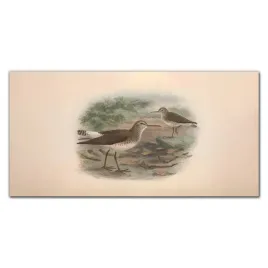 obraz-szklany-na-sciane-ptaki-zwierzeta-120x60-cm