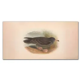 szklany-obraz-na-sciane-ptaki-zwierzeta-120x60-cm