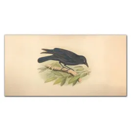 obraz-szklany-z-nadrukiem-ptak-rysunek-120x60-cm