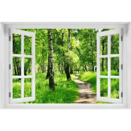 naklejka-fototapeta-okno-widok-brzozowy-las-90x60
