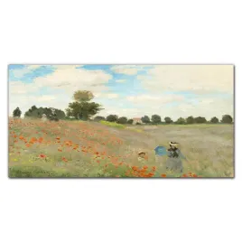 foto-obraz-szklany-na-sciane-maki-monet-120x60-cm