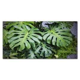 obraz-do-salonu-botaniczne-rosliny-liscie-120x60