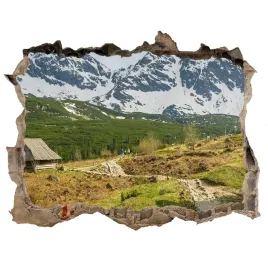 dziura-3d-w-scianie-na-sciane-hale-tatry-168x113