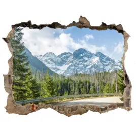 dziura-3d-w-scianie-naklejka-droga-tatry-168x113