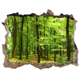 dziura-3d-w-scianie-naklejka-lesna-sciezka-168x113