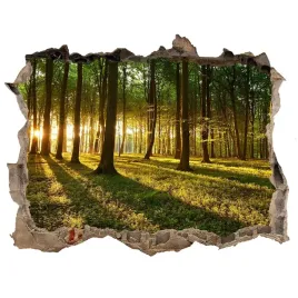dziura-3d-w-scianie-naklejka-promienie-slonca