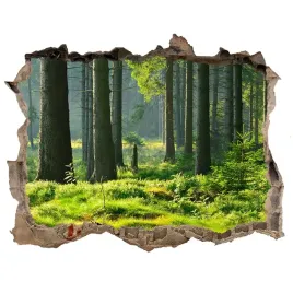 dziura-3d-w-scianie-scienna-las-swierkowy-168x113
