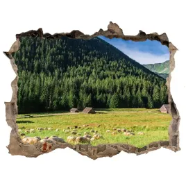 dziura-3d-w-scianie-scienna-owce-w-tatrach-168x113