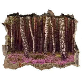 dziura-3d-w-scianie-na-sciane-wrzosowisko-168x113