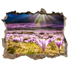 dziura-3d-w-scianie-naklejka-krokusy-na-polanie