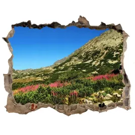 naklejka-fototapeta-3d-bacowka-w-dolinie-168x113