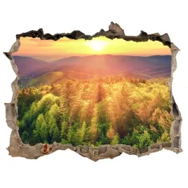 naklejka-fototapeta-3d-las-zachod-slonca-168x113