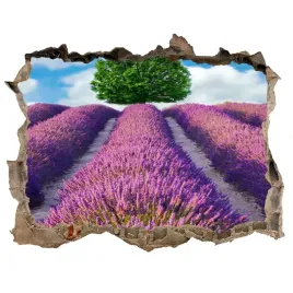 naklejka-fototapeta-3d-na-sciane-pole-lawendy