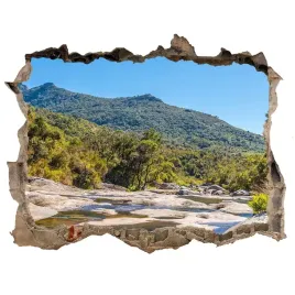 naklejka-fototapeta-3d-na-sciane-rzeka-w-lesie