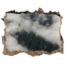 naklejka-fototapeta-3d-na-sciane-mgla-nad-lasem