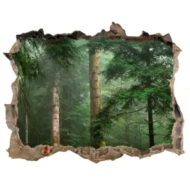 naklejka-fototapeta-3d-na-sciane-mgla-w-lesie