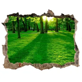 dziura-3d-w-scianie-naklejka-trawa-w-parku-168x113